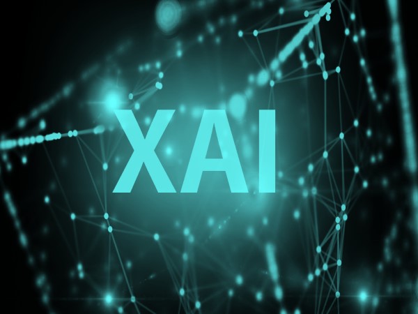 XAI Privacy Intent Classifier preview